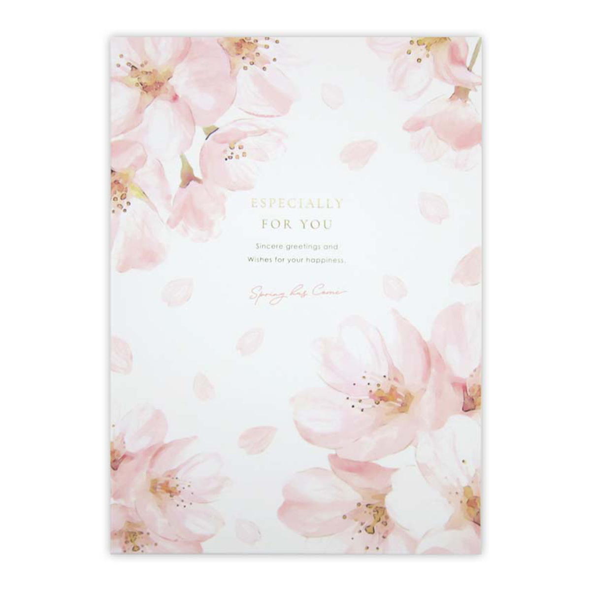 【OUTLET】B52つ折り色紙桜巡りSD 307944