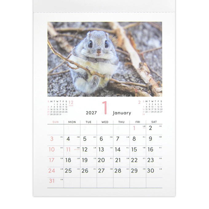 2027 A4 壁掛け もふもふ動物 308662