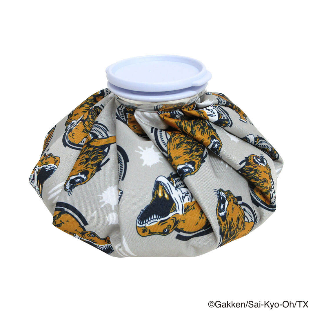 【OUTLET】最強王図鑑 氷のう GY 311642