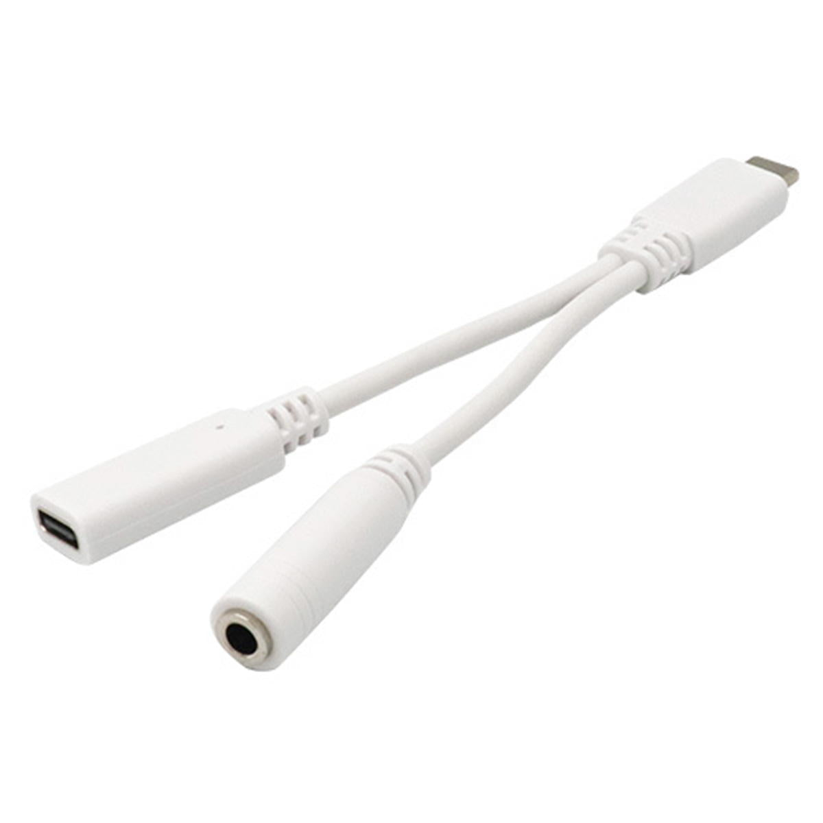 Type-C→イヤホンジャック変換アダプタ 2股 319201