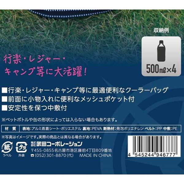 【WEB限定】保冷バッグ 小さめ 折りたたみ スポーツ クーラーバッグ クーラーボックス 5L 323993