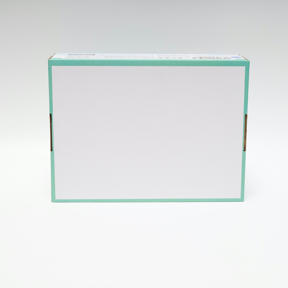 おもちゃ フィギュア ブロックコレクションダイナソー コンプリート12種12個セット 335206