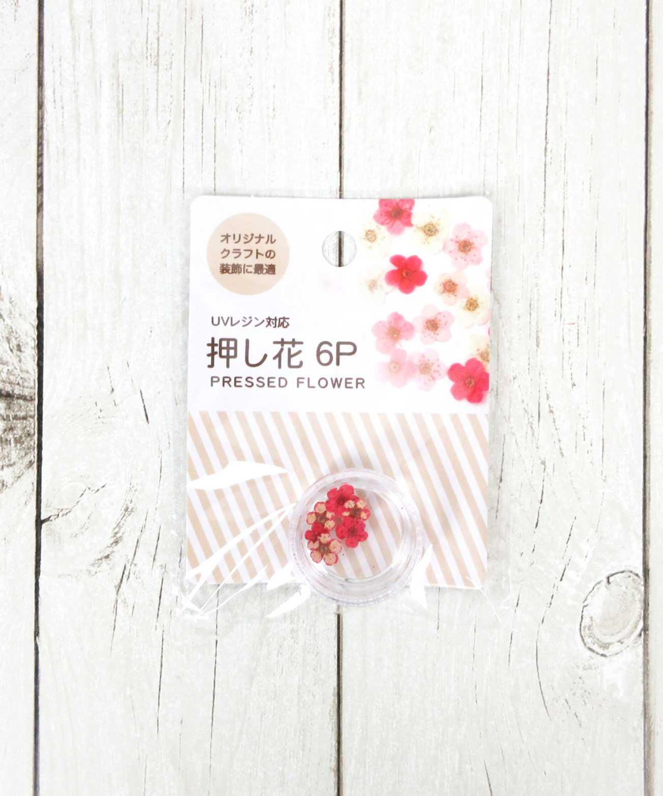 デコパーツ フラワーパーツ 押し花 6P ウォームカラー 335317