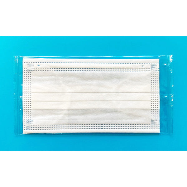 不織布マスク 22枚 個包 大人用 339464