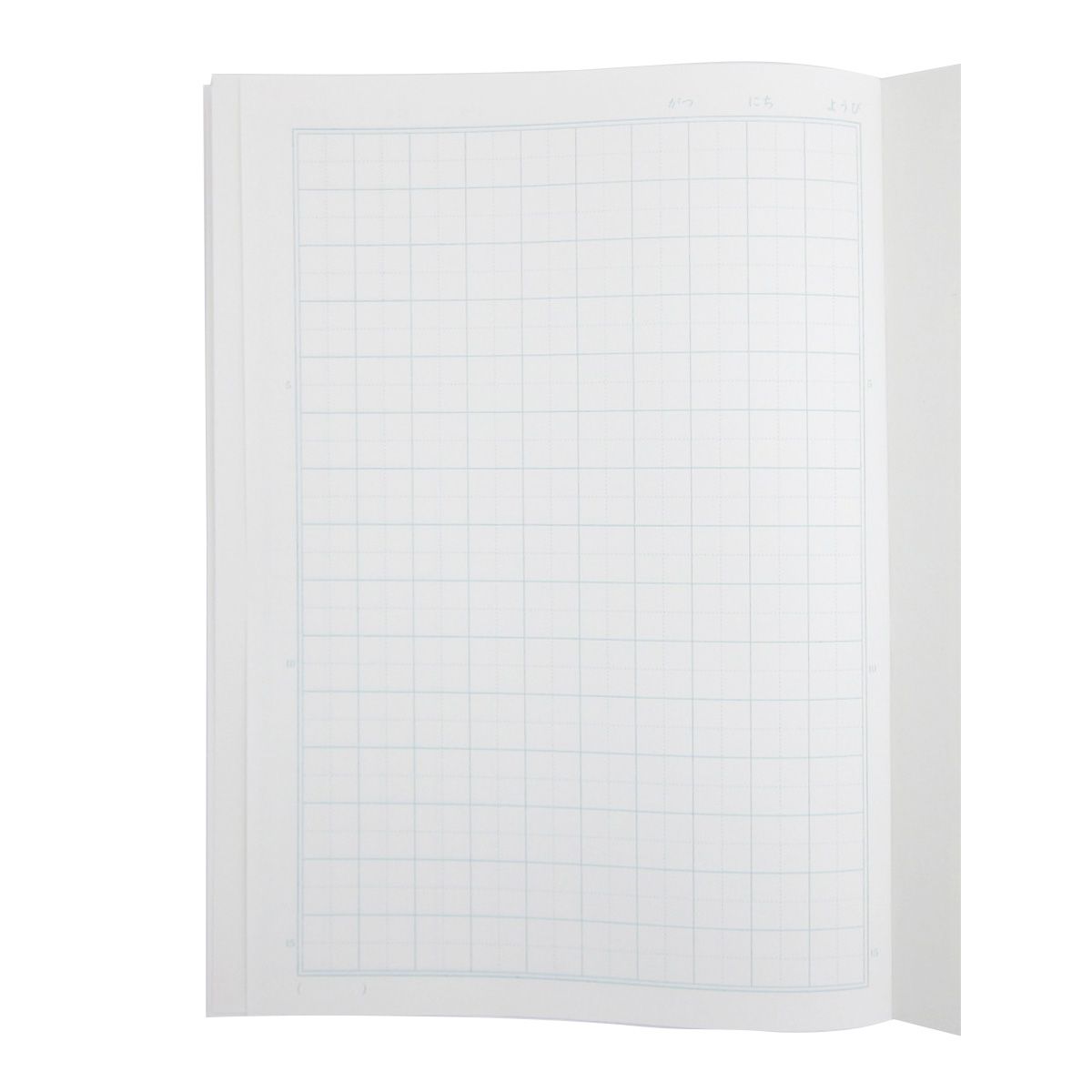 国語ノート ステディ学習帳 こくご 15マス 40枚 342951