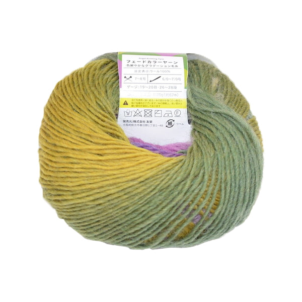 毛糸 ウール100％ フェードカラーヤーン オリーブ/パープル　349756