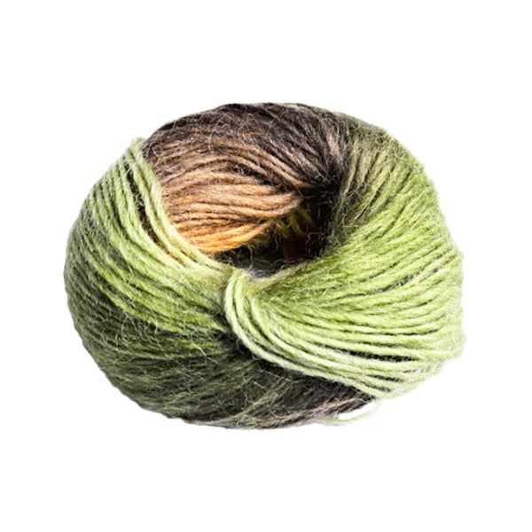 毛糸 ウール100% フェードカラーヤーン モスジンジャー 349759