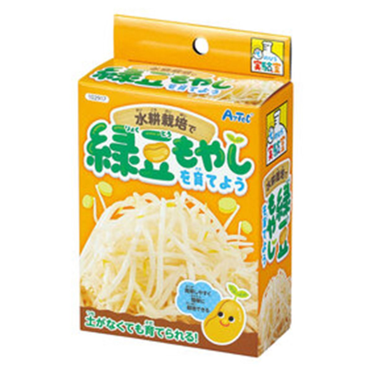 【OUTLET】水耕栽培で緑豆もやしを育てよう 350057