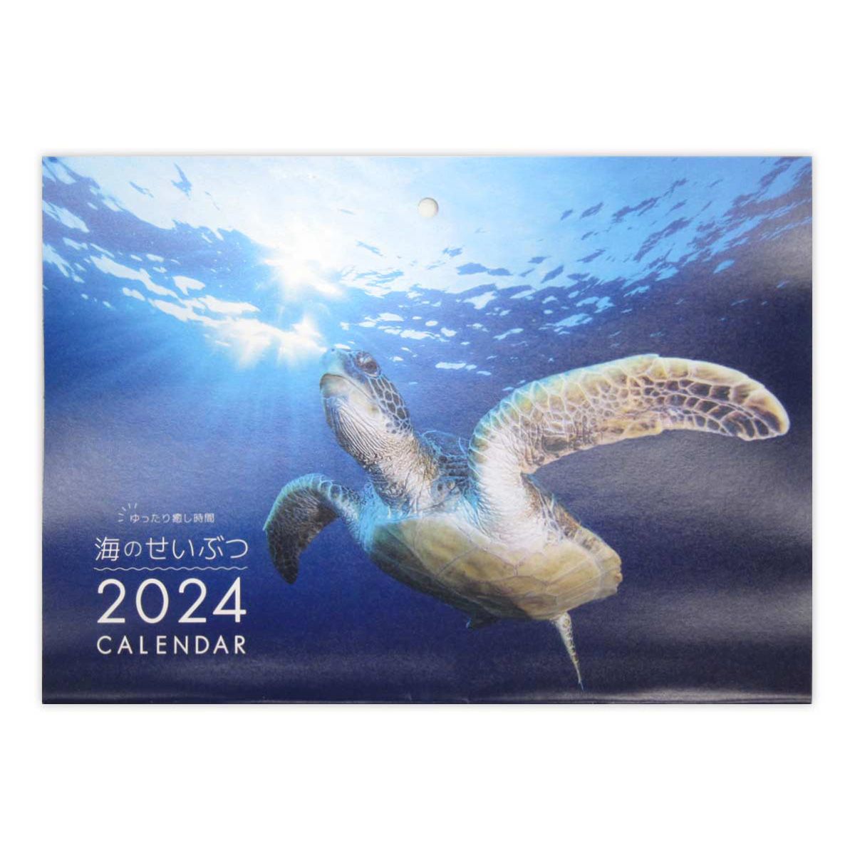 2024年 見開きA3 中綴じ壁掛けカレンダー 海の生物 351949