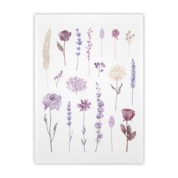 トレーシングダイカットシール ドライフラワー V 72片 352333