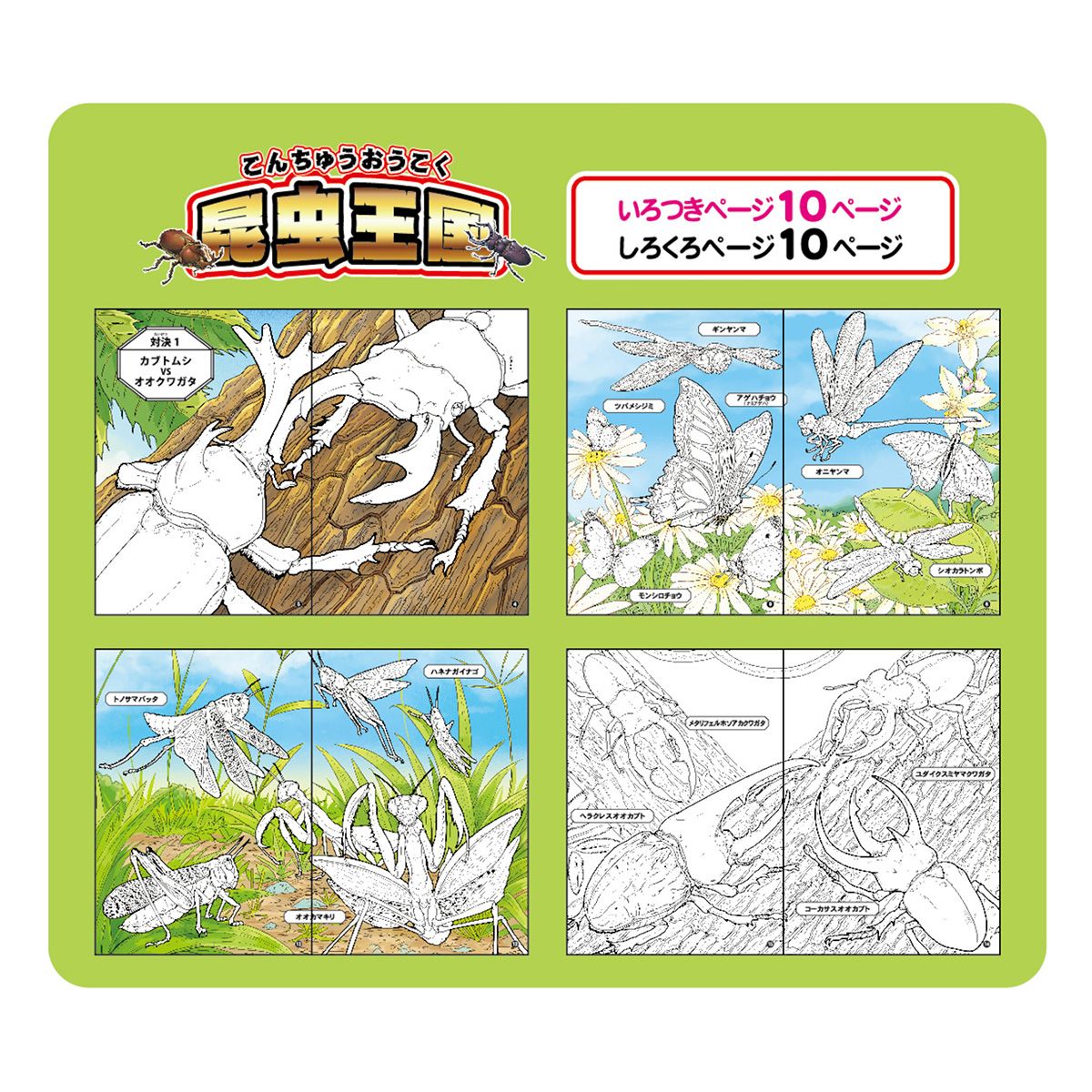 いろつきぬりえ 昆虫王国 352730