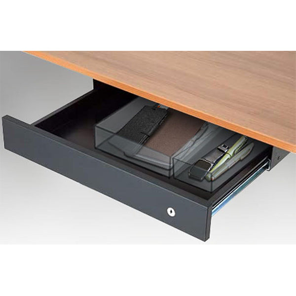 クリアケース 収納ケース スリム クリアブラック 220×79×40mm 355827