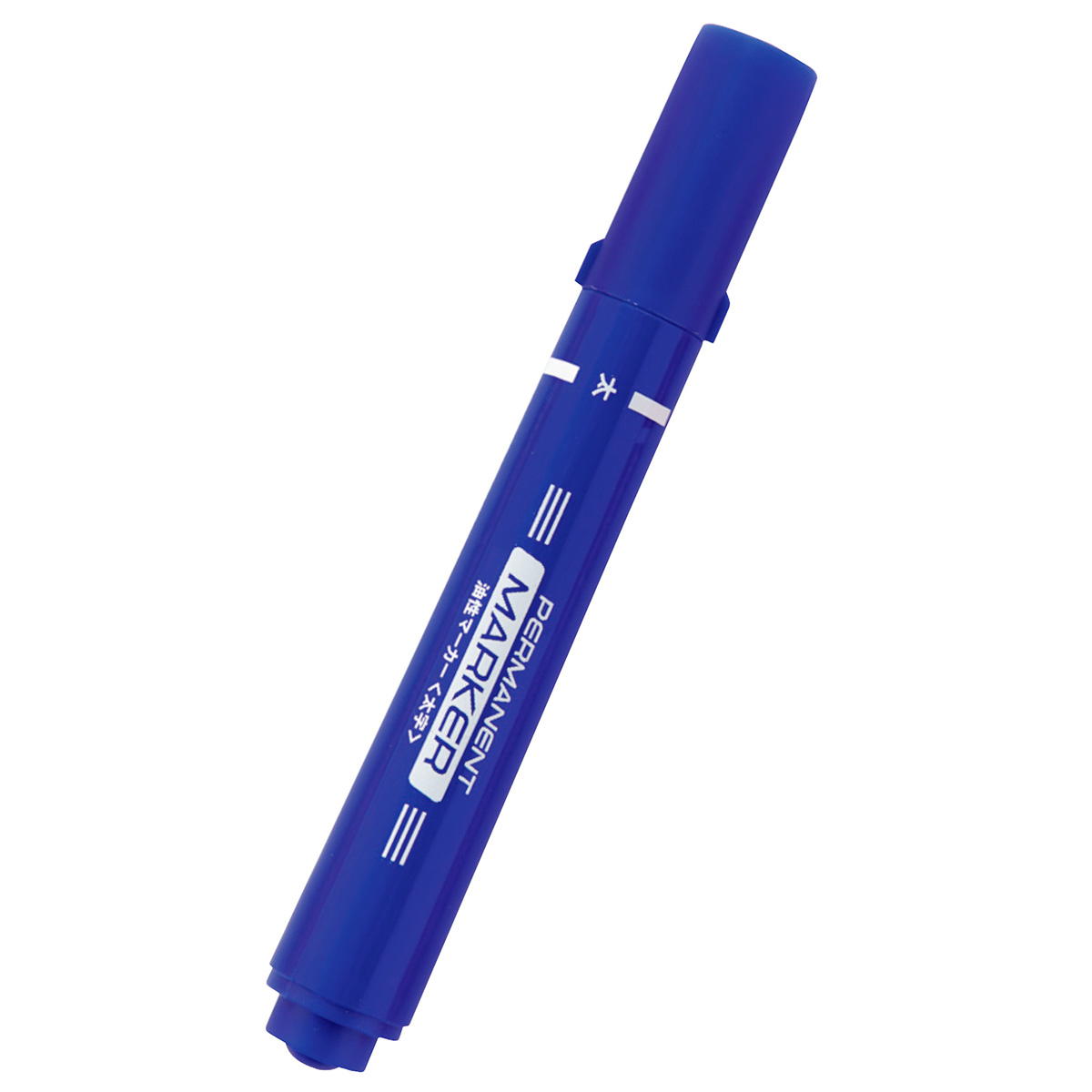 油性ペン カラーペン 油性カラーマーカー太2P ピンク ブルー 356110