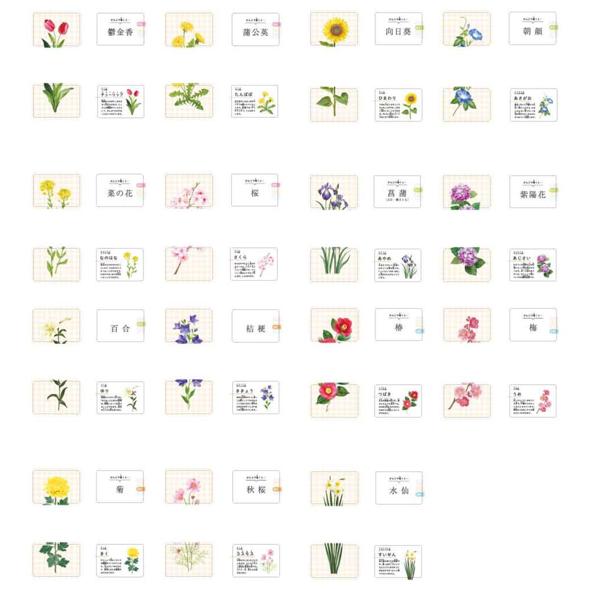 知育おもちゃ きせつのしょくぶつカード 358338