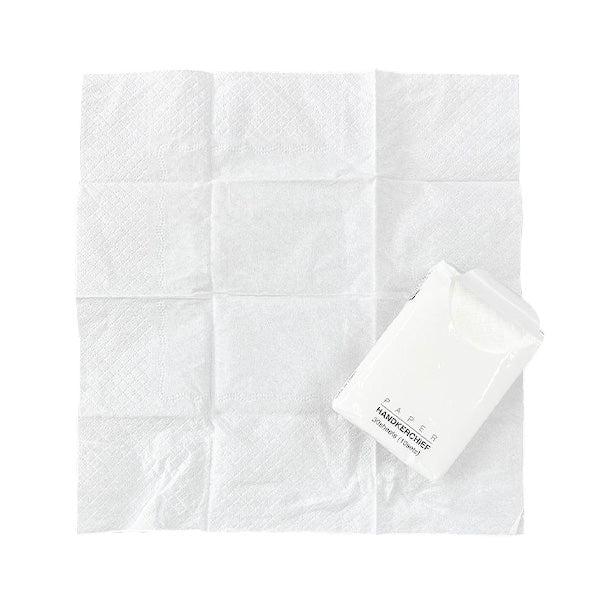 ペーパータオル 使い捨て ペーパーハンカチ 6個入 359331