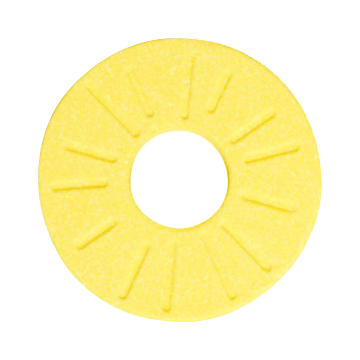 【在庫限り】入浴剤 入浴料 パインバスフィズ  70g パインの香り359626