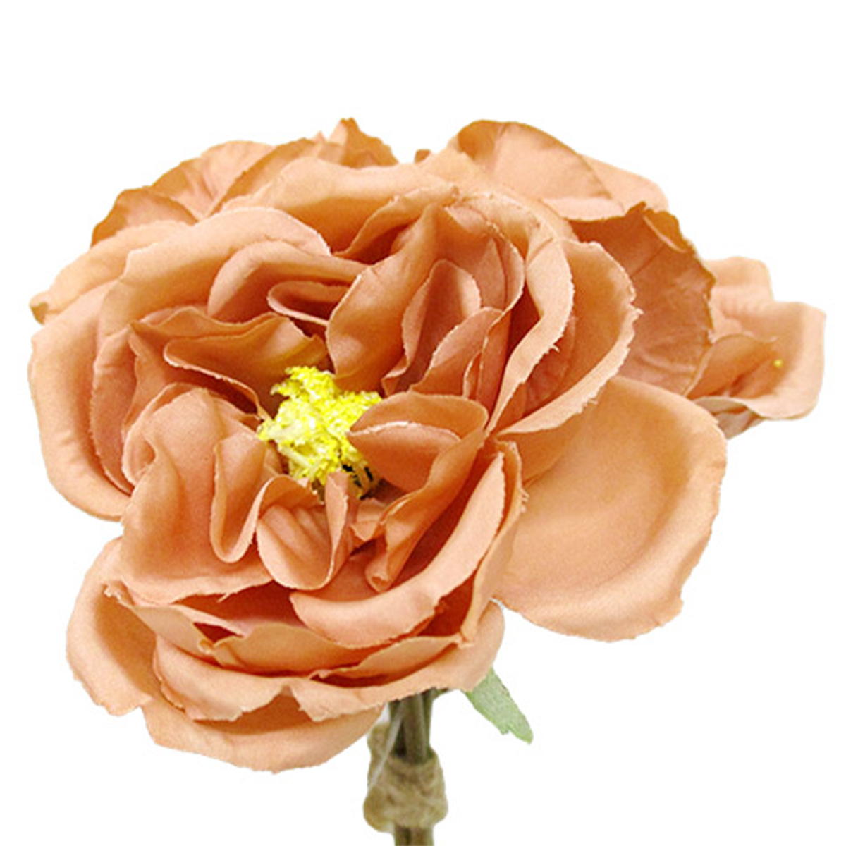 【在庫限り】ドライオールドローズバンドル BE-BR 360425