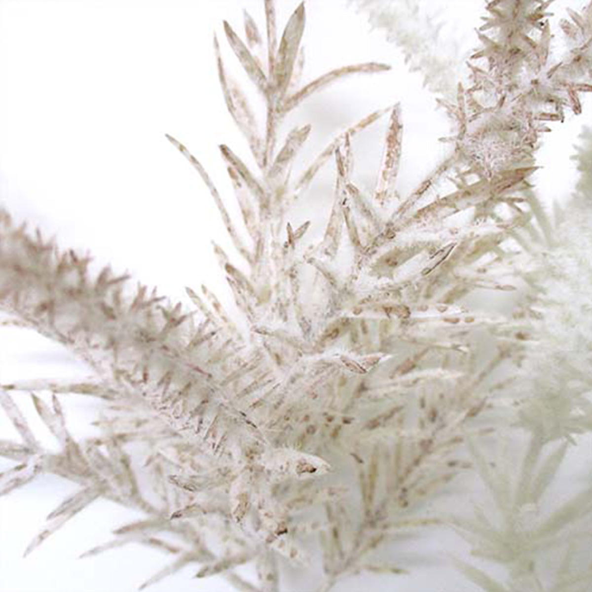 フロッキーファーショート 360473