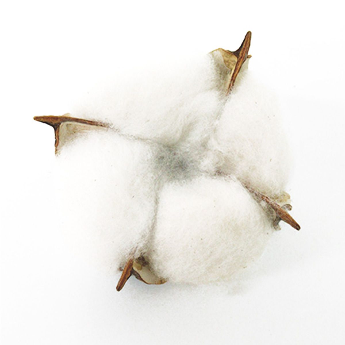 【在庫限り】ナチュラルパーツコットンフラワー2P 360531