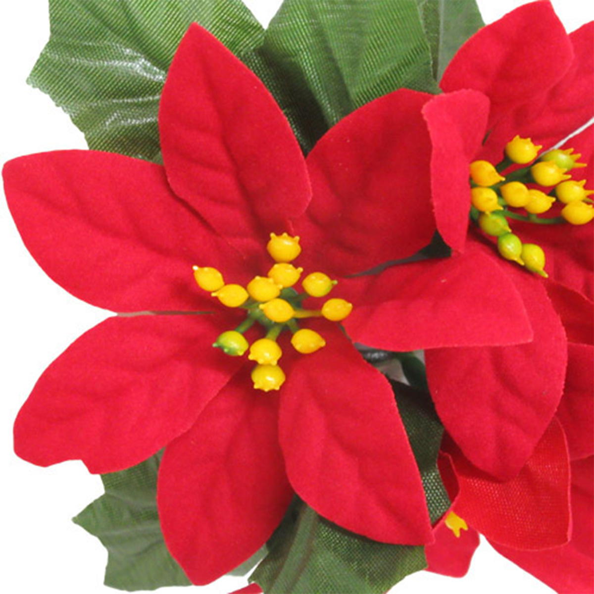 【OUTLET】ポインセチアリング 360550