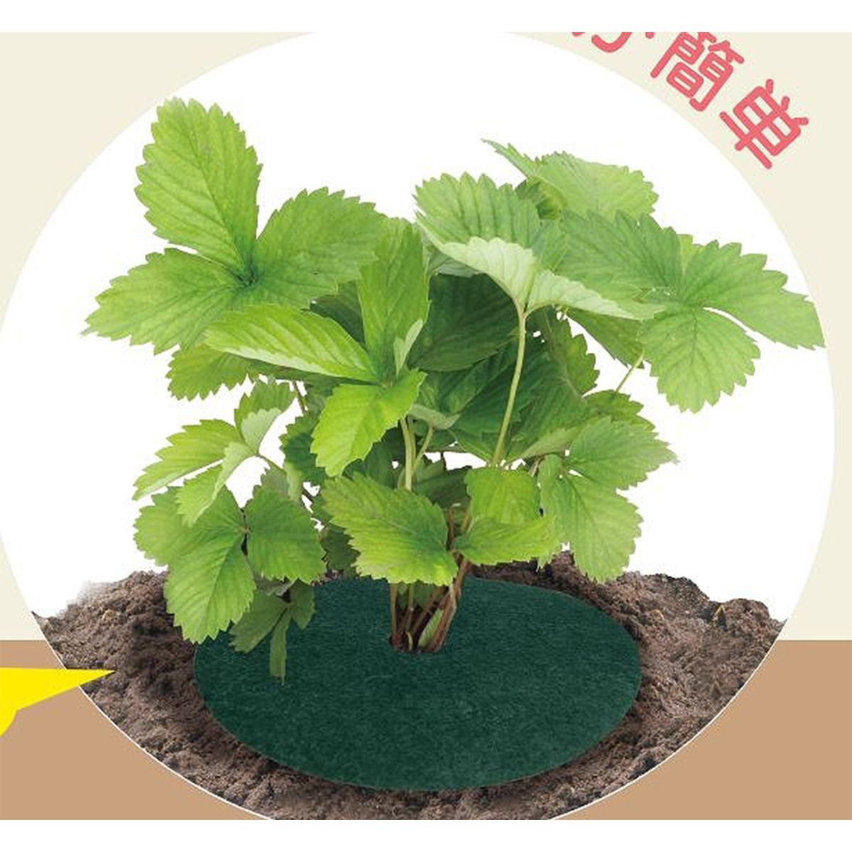 園芸用マット15cm 360585