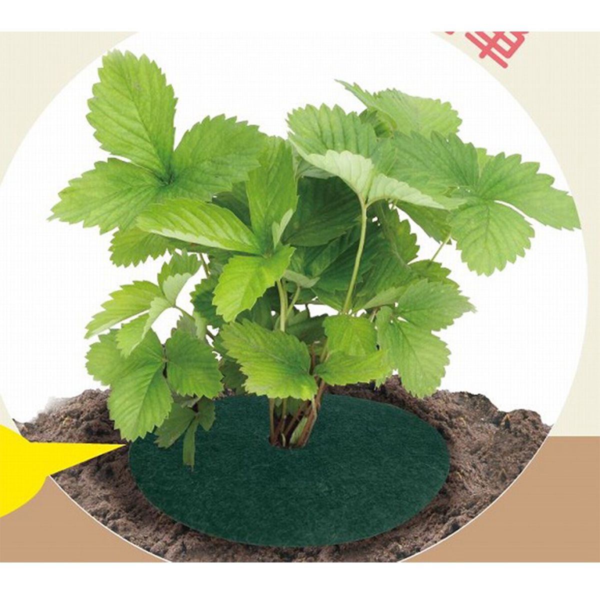 園芸用マット25cm 360586