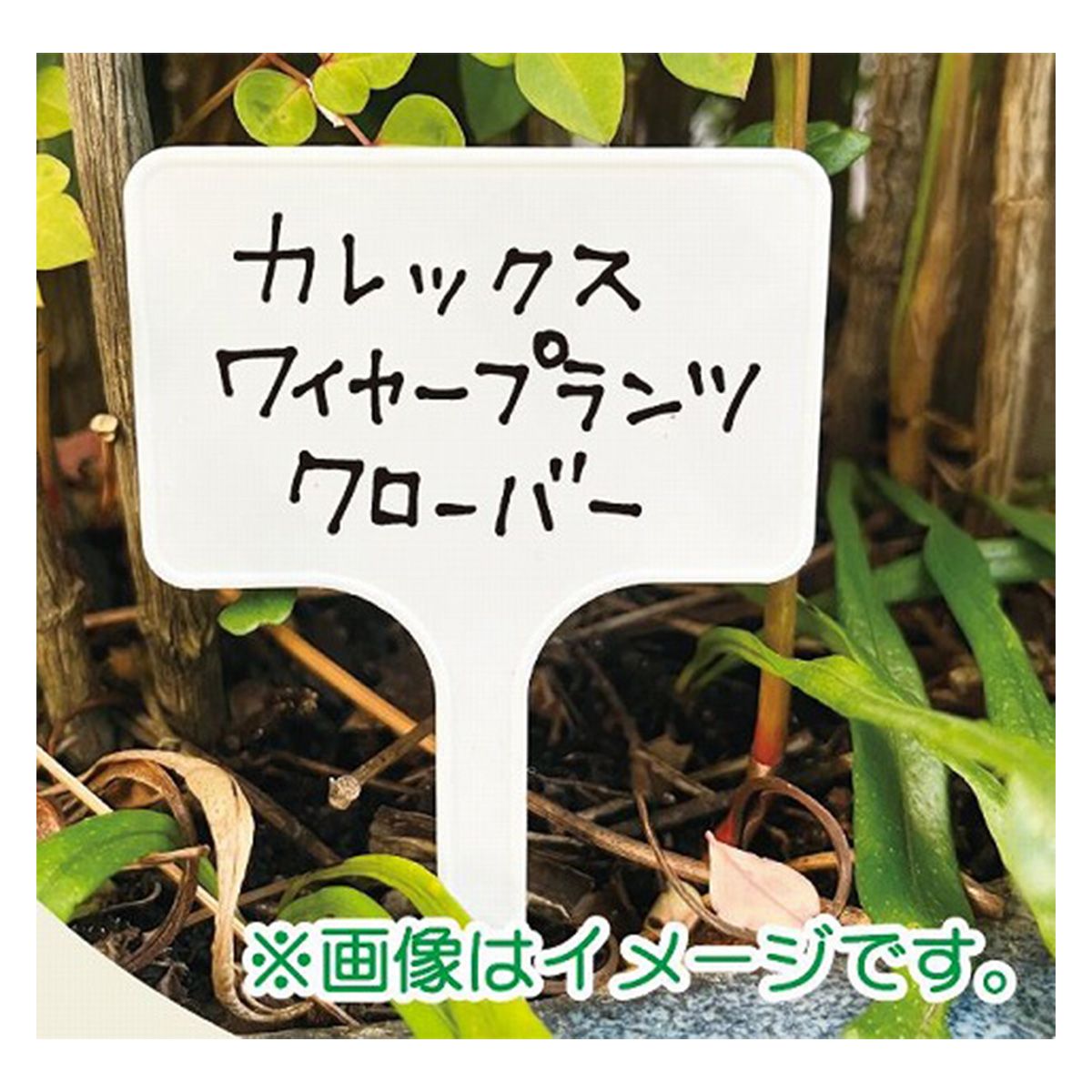 園芸用ラベル ガーデニングラベル 名入れラベル8P入 360592