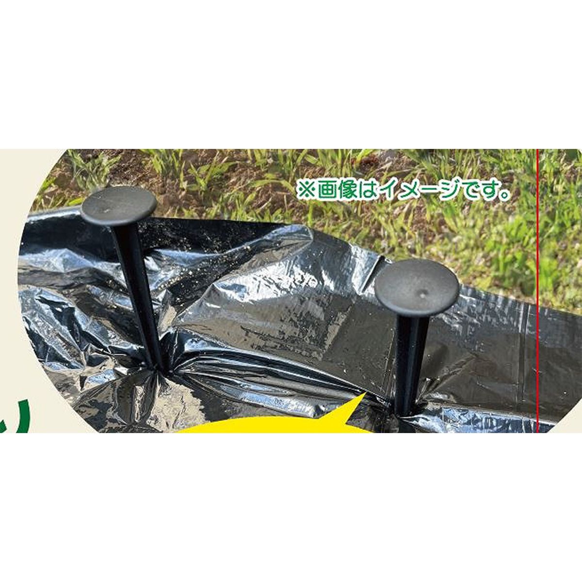 マルチ押さえ4P入り 360595