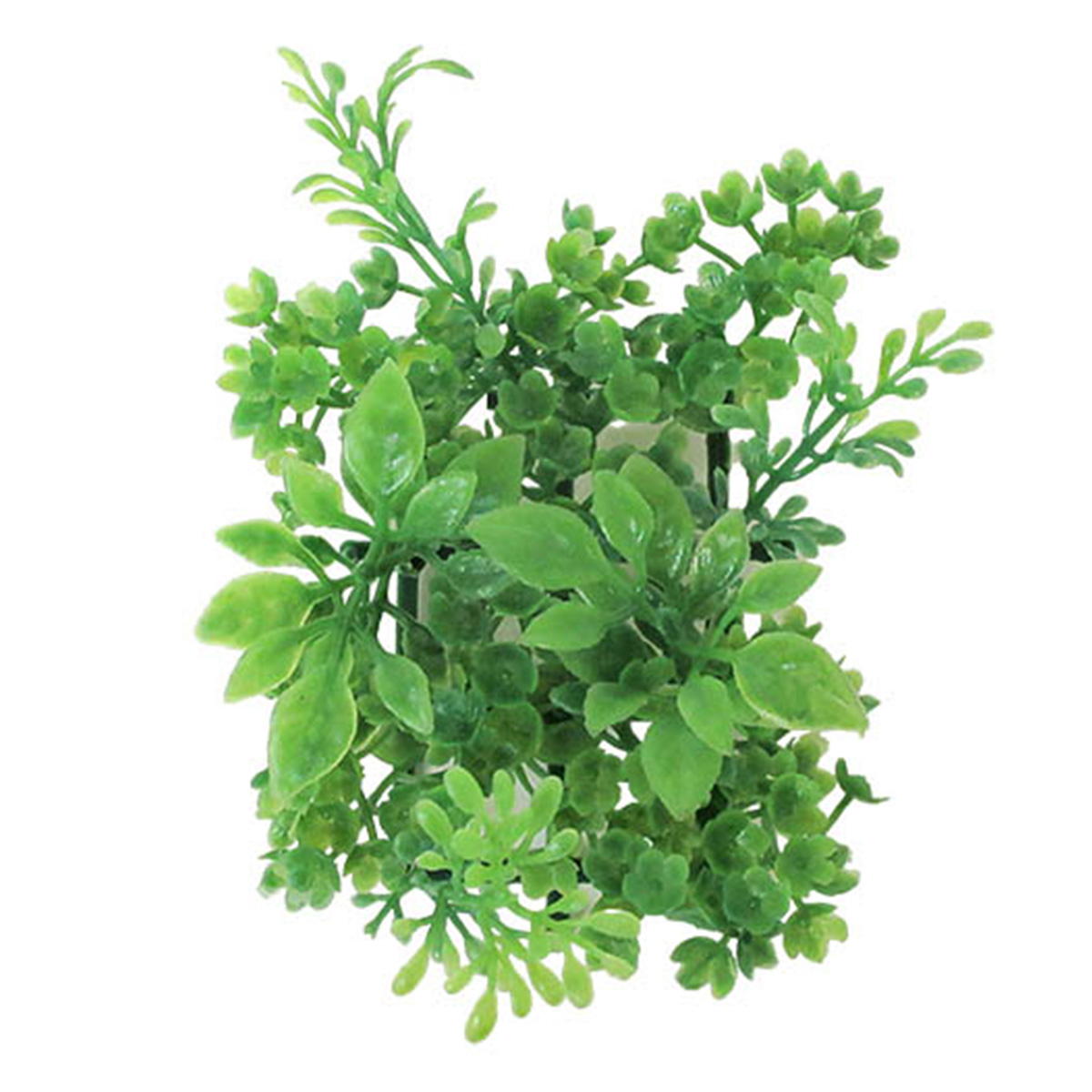 造花 ウォールグリーン グリーンマットボックスウッド 361829