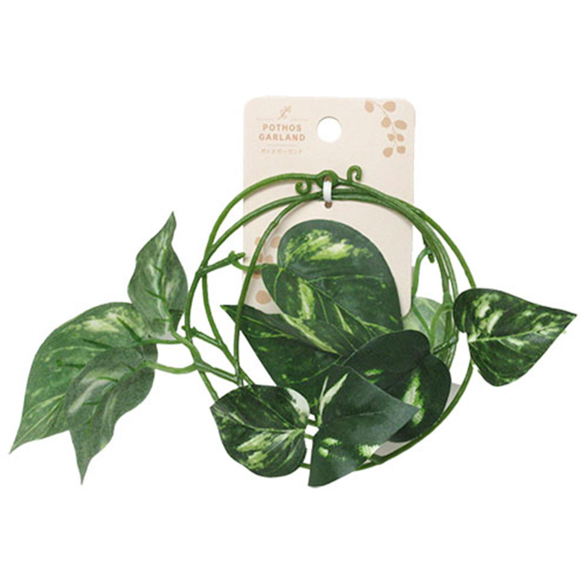 ポトスガーランド 361831