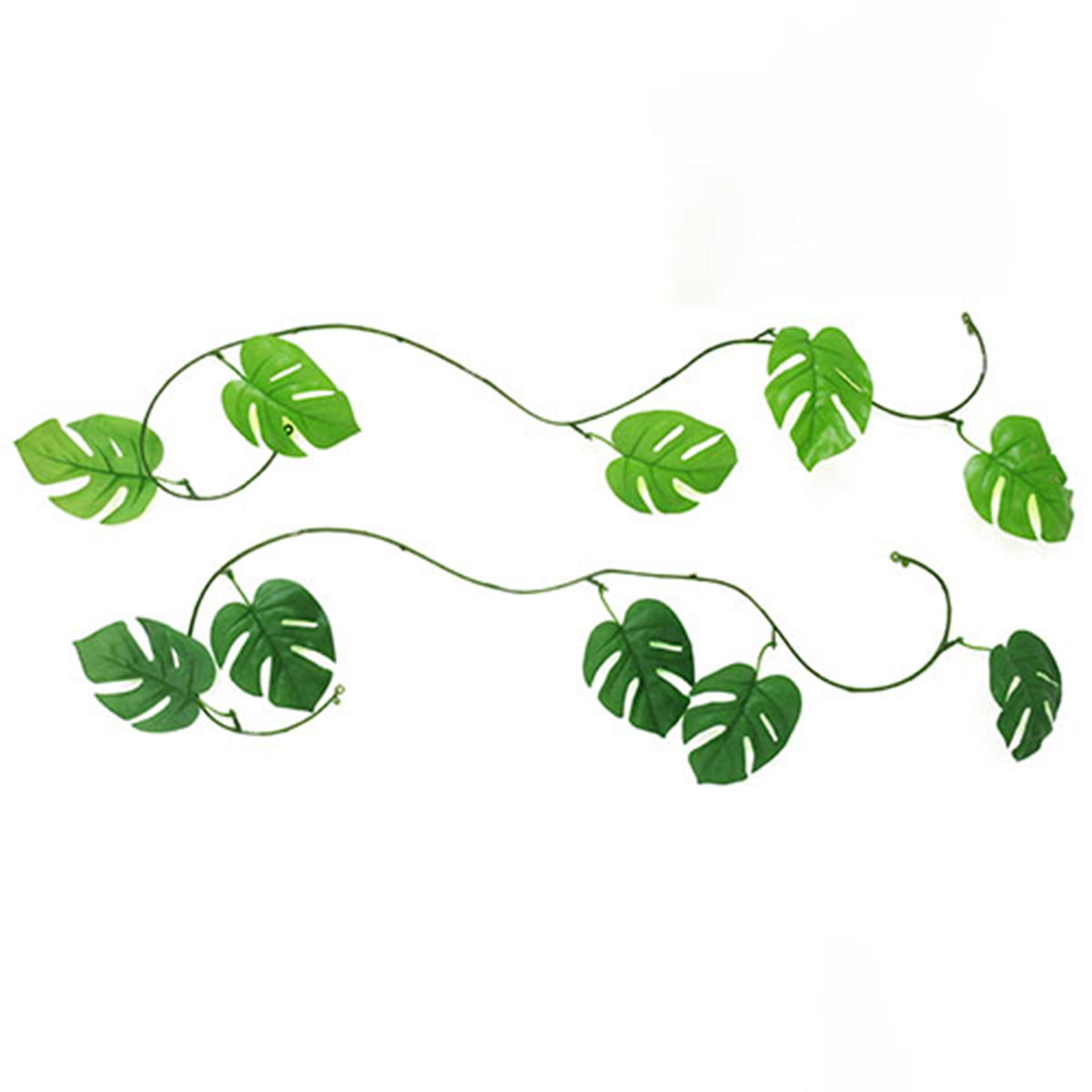 モンステラガーランド 361832