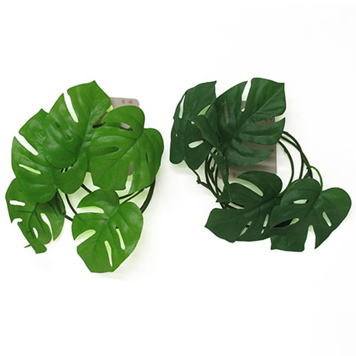 モンステラガーランド 361832