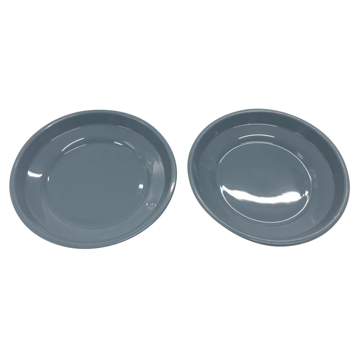 皿 プラスチックトレイ ニュアンスカラープラ皿 9cm 2P ブルー 363536