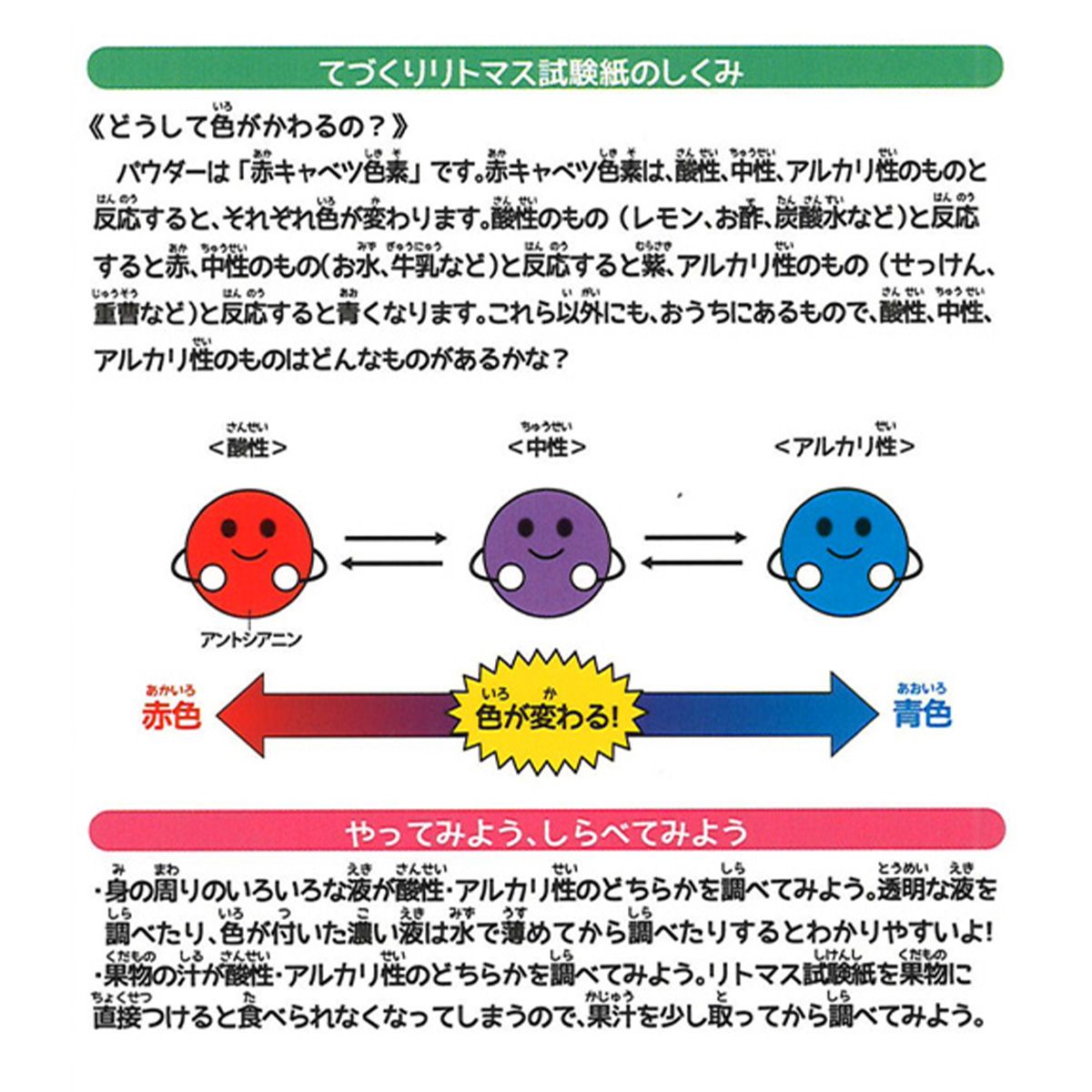 ふしぎな実験キット てづくりリトマス試験紙 365901