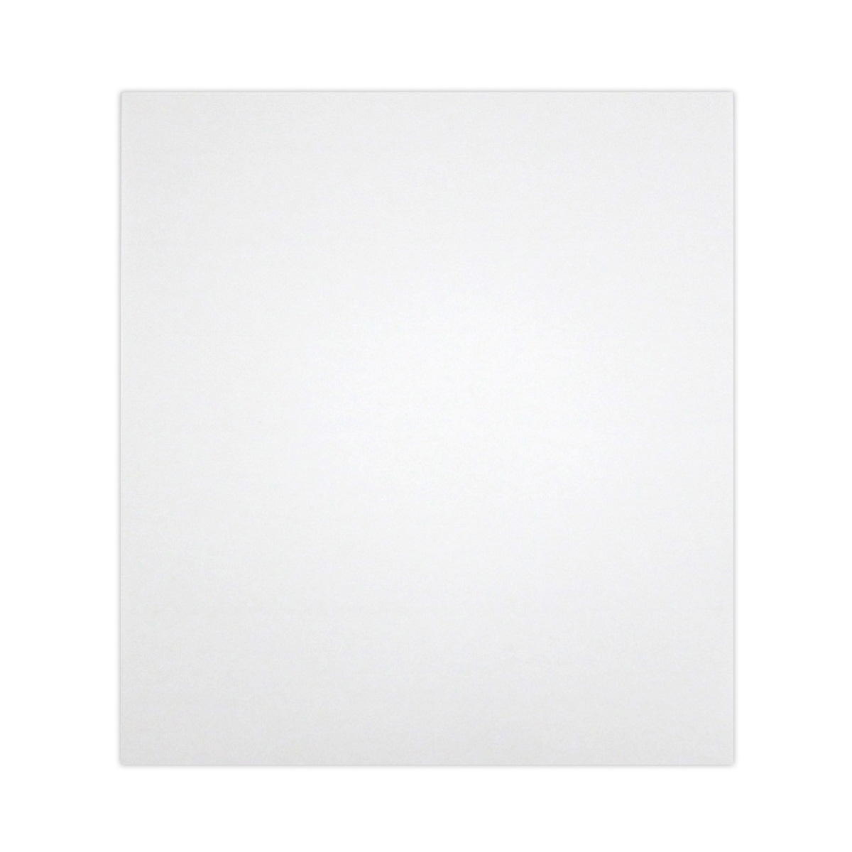 天ぷら敷紙 45枚 366197