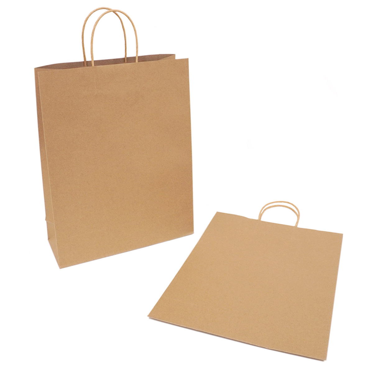 ペーパーバッグ L 2P クラフトプレーン 367883