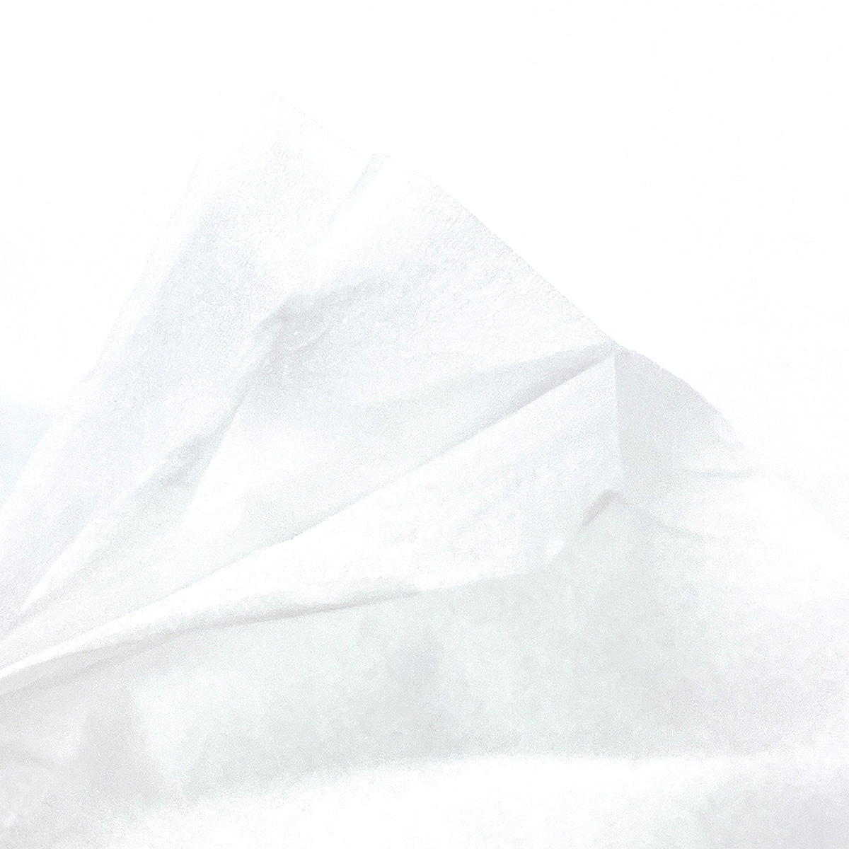 ローションティッシュ30枚(10組)6個入 370518