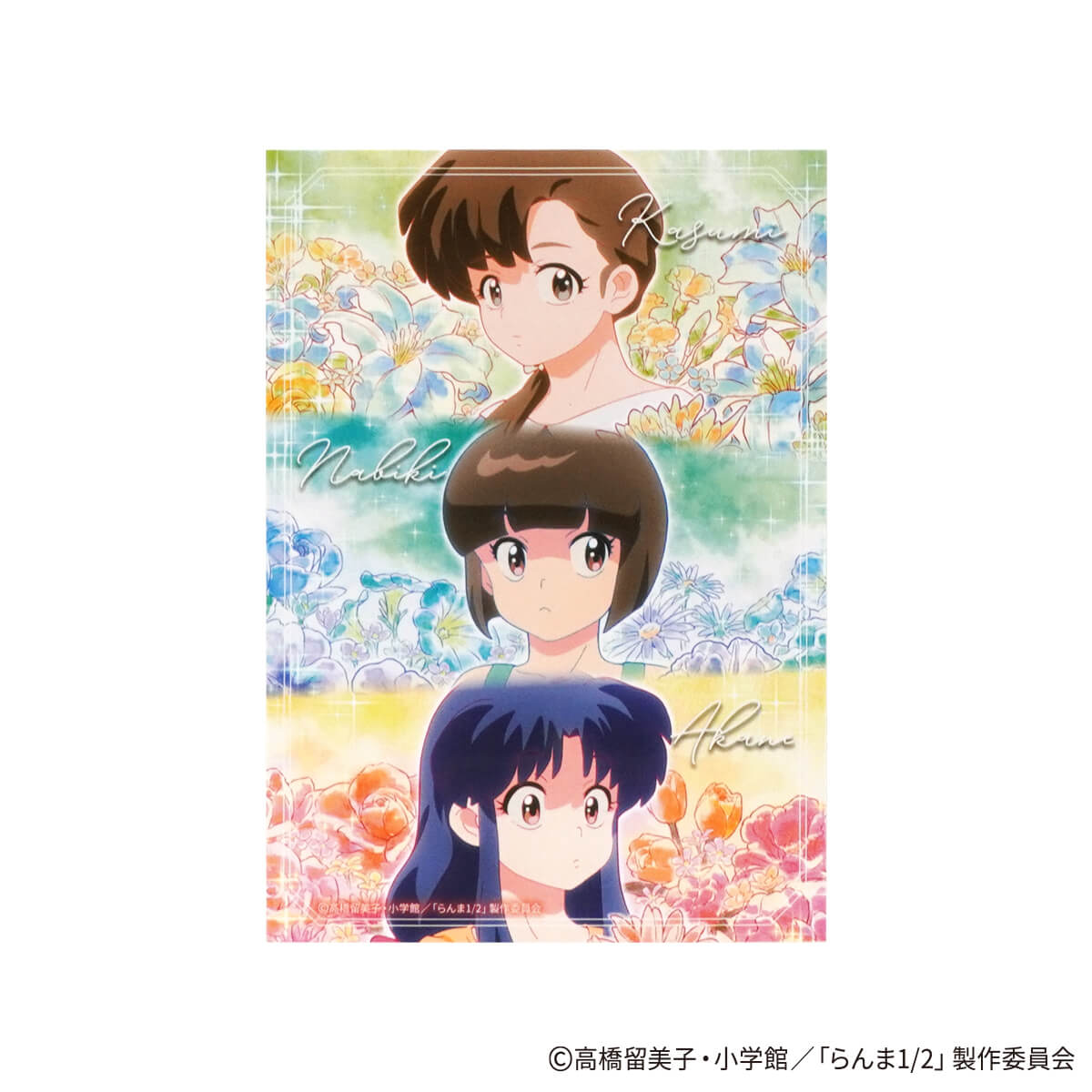 らんま1/2 イラストカード ポップ柄 コンプリートセット 371533