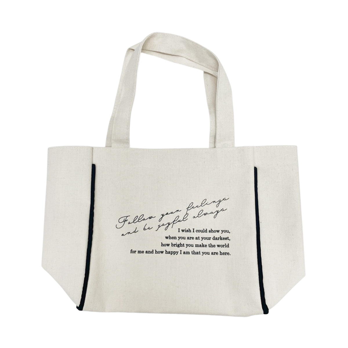 NTパイピングサブバッグ IV 375370