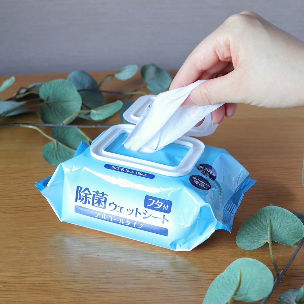 除菌シート 蓋付き 除菌ウェットシート ウェットティッシュ アルコールタイプ 40枚入 455197