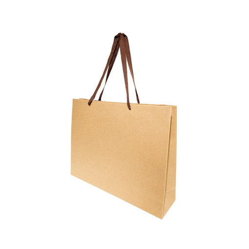 ギフトバッグ プレゼントバッグ ハンドルバッグ デイリークラフトバッグXL横型 455328