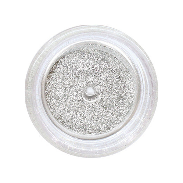 フェアリーダストパウダー メタリックシルバー ネイルデコ クラフトレジン用 467145