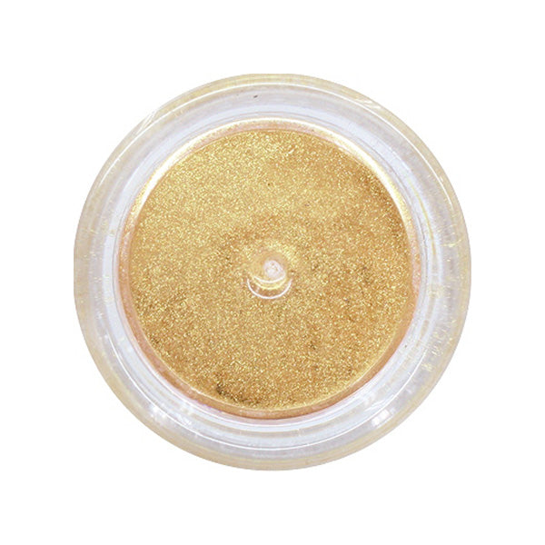 フェアリーダストパウダー メタリックゴールド ネイルデコ クラフトレジン用 467377
