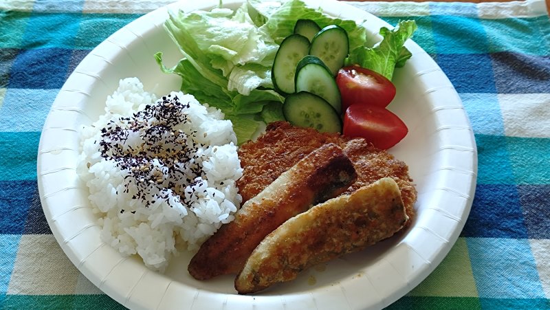 100均の紙皿で食器洗いの憂鬱バイバイ♪  引っ越し前後やパーティーにも！