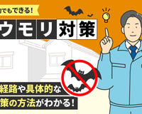 100均でできる！コウモリ対策完全ガイド｜侵入経路から効果的な対策手順まで解説