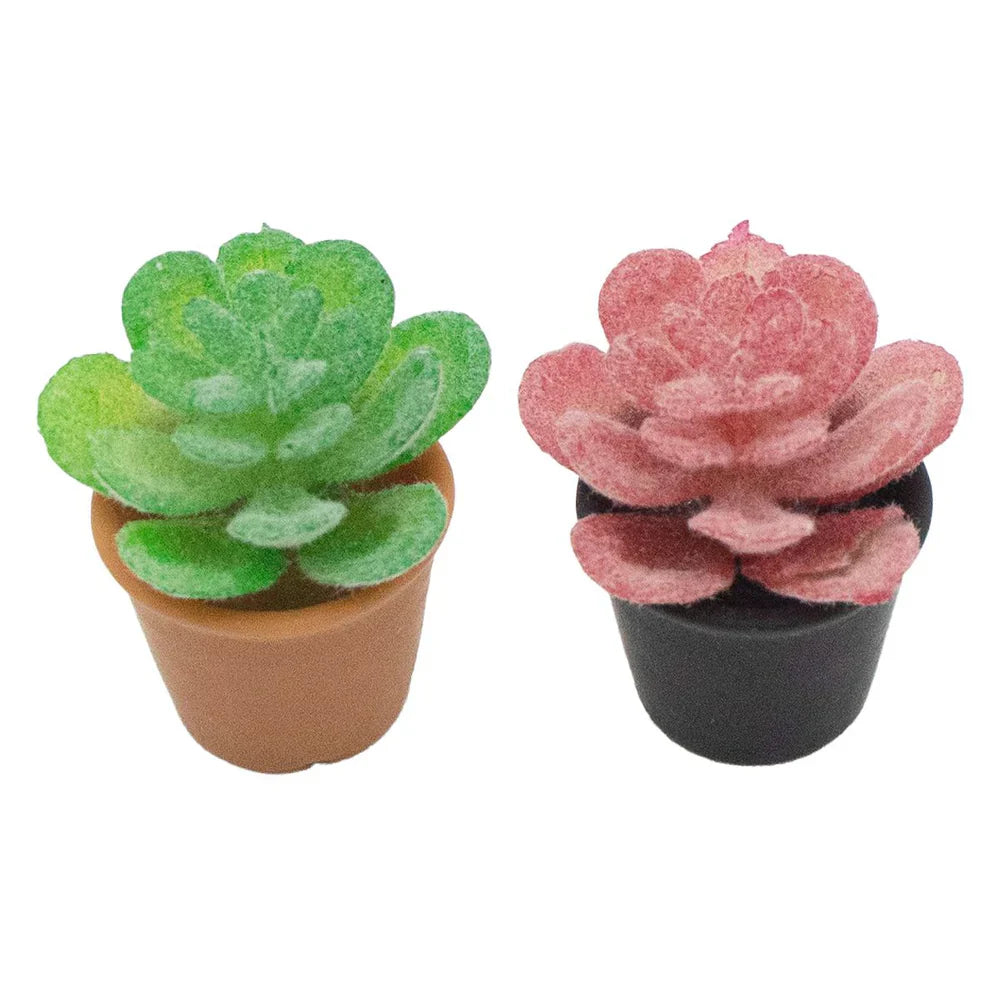 シューズラック 靴箱 (花・多肉・ミニカー・フィギュア・人形) 台