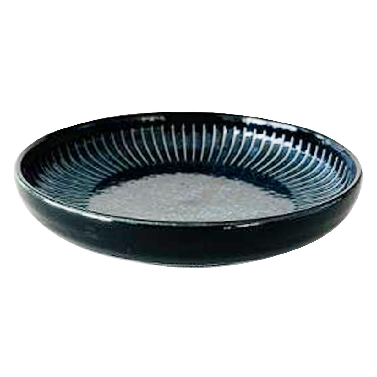 Tokinone PB.色撥水十草パスタ皿窯変紺 021218