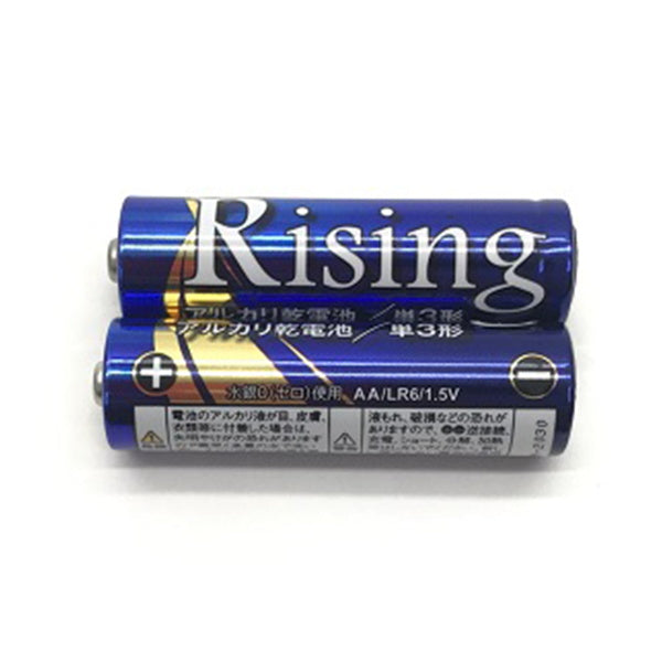 乾電池 武田 単3電池 アルカリ乾電池Rising 単3形 2本パック　040481
