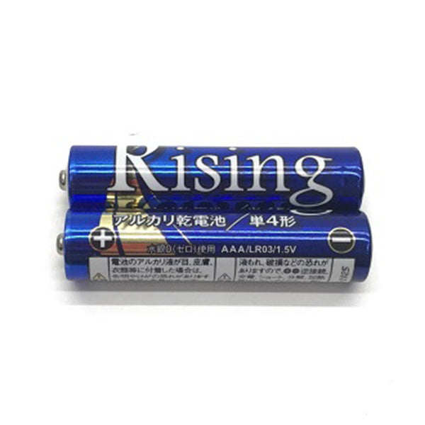 乾電池 武田 単4電池 アルカリ乾電池Rising 単4形 2本パック　040482