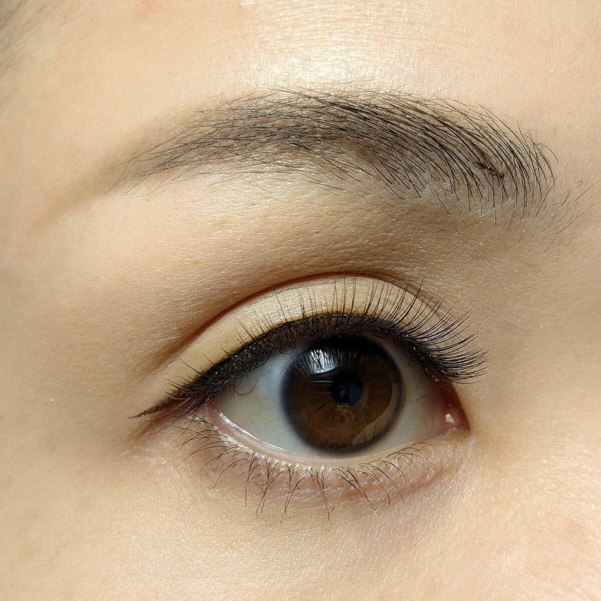 まちゃえ 付けまつ毛 LJ 3D つけまつげ 05 華やかブラウン 044684